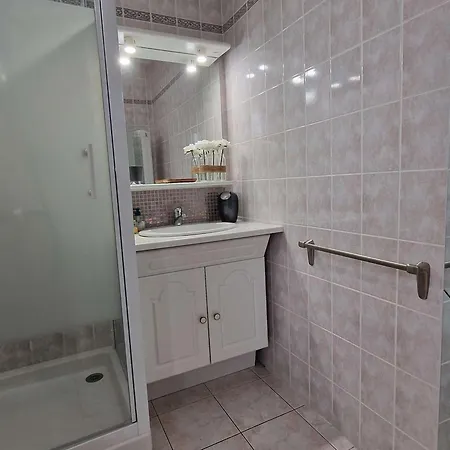 Appartamento Bel Climatisé 2 Pièces+cabine Avec Terrasse Et Piscine Privée à Port Camargue - Fr-1-731-4 *
